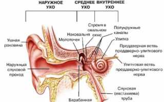 Как разложить уши», или Как избавиться от заложенности ушей